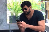 Varun Tej diet, Varun Tej diet, varun tej s no diet worrying his makers, Boxing