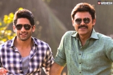 Love Story, Venkatesh and Naga Chaitanya new movies, venkatesh and naga chaitanya ready to test their luck, Luck