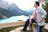 Venkatesh new movie, Venkatesh updates, venky s next movie news, Ritika singh