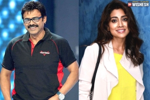 Venky To Romance Shirya Saran