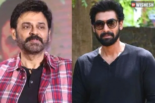 Venky And Rana Multi-Starrer Latest Updates