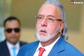 Vijay Mallya, Vijay Mallya to India, vijay mallya could be back to india in 28 days, Europe