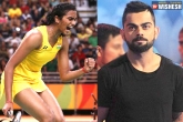 Virat Kohli, Virat Kohli, virat kohli gets trolled over pv sindhu s video, Sindhu