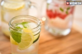 recipe, weight loss, 5 water recipes for healthy you, Weight loss