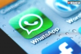 iPhone And Android Phones, Text-Based Status, whatsapp rolls out new update to make status feature interesting, Android 4 3