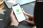 WhatsApp calls, WhatsApp new users, whatsapp to limit the features for accounts that don t accept the privacy policy, Guide