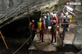 Murder, Weird news, world s first murder victim found, 430000 years
