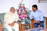 PM Modi, YS Jagan, ysrcp president meets pm modi, Agri gold