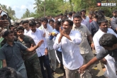 YS Jagan Mohan Reddy news, YSRCP, 2000 kms for ys jagan s padayatra, Padayatra