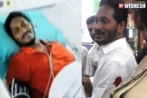 YS Jagan latest, YS Jagan knife attack, ys jagan refuses for statement in airport attack case, Knife