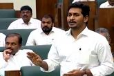 YS Jagan, YS Jagan in Assembly, ys jagan responds about tdp scams in ap, Scams