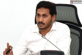candidates for AP MLC By-Elections, candidates for AP MLC By-Elections, ysrcp finalizes three candidates for ap mlc by elections, Mlc election