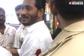 YS Jagan attack, YS Jagan attack, attack on ys jagan ysrcp leaders to meet president, Jagan party