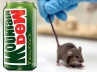 Steven Danekas., Lawsuit on Pepsi, us resident claim damages on pepsi after finding small mouse inside mountain dew can, Pepsi