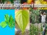 Rashtriya Krishi Vikas Yojana (RKVY), Minister of State for Agriculture and Food Processing Industries, financial assistance for betel leaf cultivation under nhm rawat, Food processing