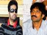 ntr, baadshah, ntr okays srikanth s script, Cameraman