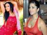 bhatts, sunny leone big boss, parampara of porn stars in big boss, Priya rai porn star