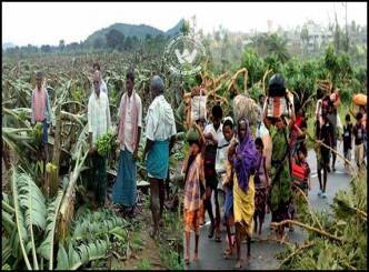 Highest Phailin Cyclone Loss in Srikakulam Assessed