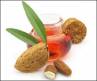 Erysipelotrichia, Sterculic oil, almond oil helps fight obesity diabetes, Almond