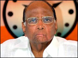 Choose words carefully: Pawar