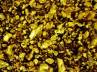 gold discovery during bore well digging, box containing gold, workers find 7 kg of gold in field near nuziveedu, Hanumanthu