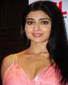 shriya saran, anushka vedam, flesh trade importance in tollywood, Flesh trade