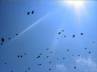 summer temperature in andhra pradesh, summer andhra, temperature soars in ap, Summer heat