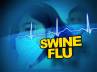 First swine flu death, Vizag government hospital., vizag first swine flu death, Pregnant woman