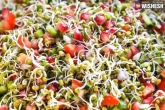Sprouts boiling, Sprouts study, all about the nutritious benefits of sprouts, Sprouts