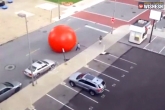 big ball on road, viral videos, watch 113 kg ball rolls on the road, 90 the road t