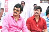 Balakrishna 100 movie, Boyapati Seenu, why not boyapati for balakrishna s 100th film, 100 movie