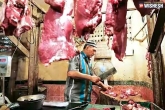 petition bull slaughter, Eid bull slaughter, ban on bull slaughter continues on eid too, Meat
