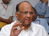 Sharad Pawar, Agriculture minister Sharad Pawar, pawar policies led to rs 1 200 crore loss on pulses cag, Official food trading companies