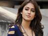 Ileana in Julaayi, Ileana in Julaayi, i am here because of my talent and not luck says this geon beauty, Rabir kapoor