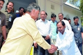Warangal bypolls, Warangal by-polls, naidu to sacrifice warangal by polls for kcr, Warangal bypolls