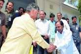 warangal elections, Chandrababu Naidu sacrifices Warangal elections, naidu to sacrifice warangal by polls for kcr, Warangal elections