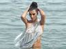 Kim's boy friend, Kris Humpries, lovely kim focuses on her beautiful future, Kim kardashian