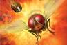 Rajamouli, Rowdy Rathore, eega off to bollywood as makkhi, Rowdy rathore
