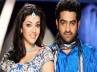 NTR, Sreenu vytla, kajal agarrwal n t r s lucky charm, Lucky charm