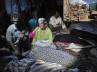 Tabriz earthquake, earthquakes in Iran, at least 180 killed in earthquakes in iran, Earthquakes