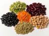 protein food, beans, slideshow vegetarian protein foods for a healthy life, Protein food