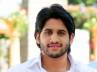 Tadakha movie trailer, Naga chaitanya, chaitu close on nag s heals, Greeku veerudu movie