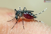 Dengue can result in blindness, how dengue affects people, dengue can cause blindness finds study, Blind