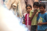 Delhi Dengue, Dengue in Delhi, dengue in delhi 1800 affected 9 dead, Dengue cases