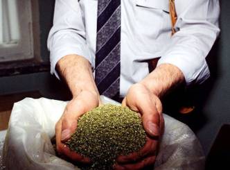 Man jailed, over 90 kg of marijuana seized!