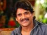 Director K.Viswanath, movie Greeku Veerudu success, double dhamaka to nagarjuna, Dhamaka