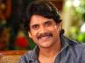 Director K.Viswanath making a film with Nagarjuna, Director K.Viswanath, double dhamaka to nagarjuna, Greeku veerudu