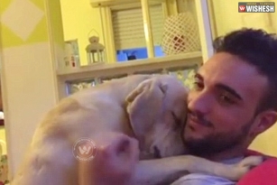 Dog pleads owner to forgive