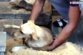 Dog buried under sidewalk, viral videos, man rescued a dog buried under sidewalk, Dog buried under sidewalk