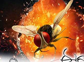 Eega to be Screened at International Film Festival